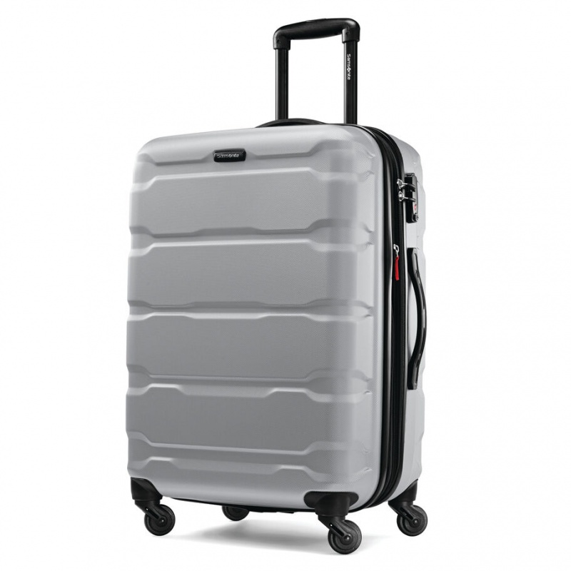 Silver Samsonite Omni PC 24\