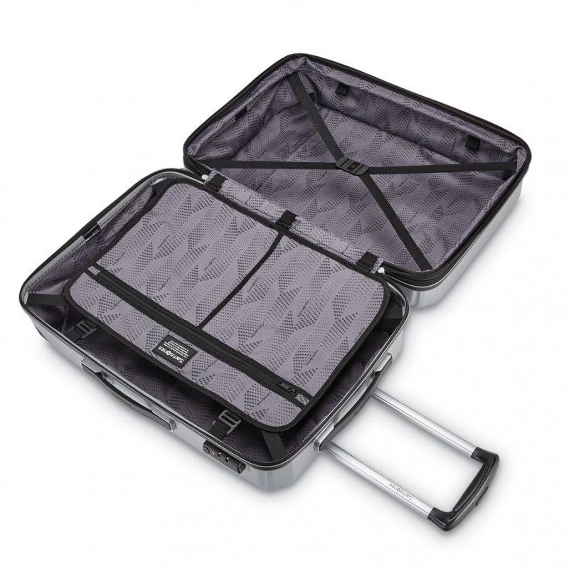 Silver Samsonite Winfield 3 DLX Spinner Expandable Hardside Luggage Checked Luggage | NBC712036