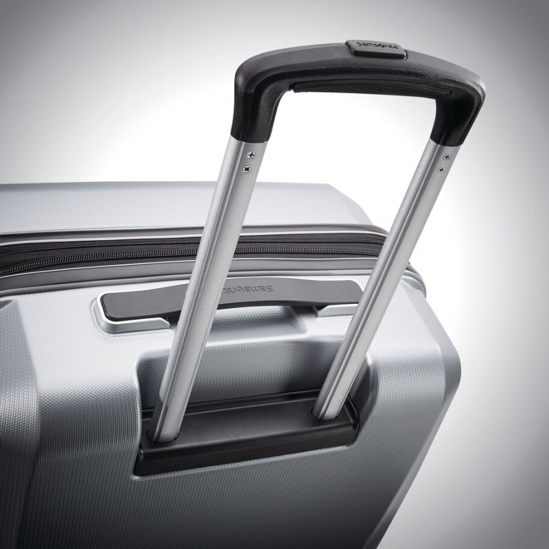 Silver Samsonite Winfield 3 DLX Spinner Expandable Hardside Luggage Checked Luggage | NBC712036